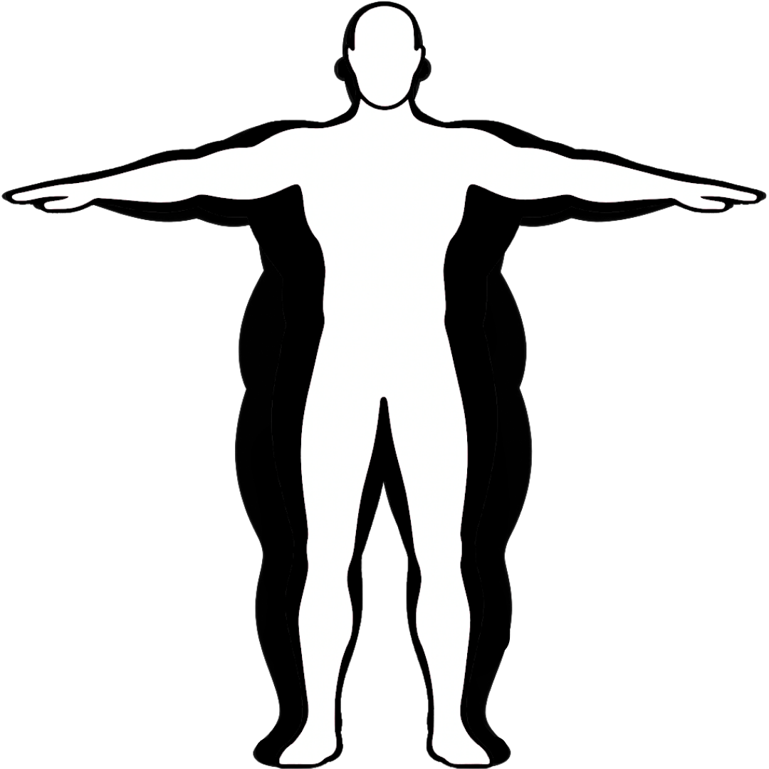 Body diagram