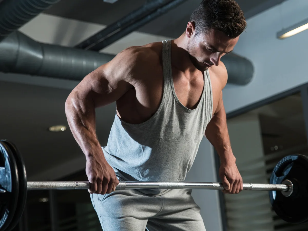 Muscle Development