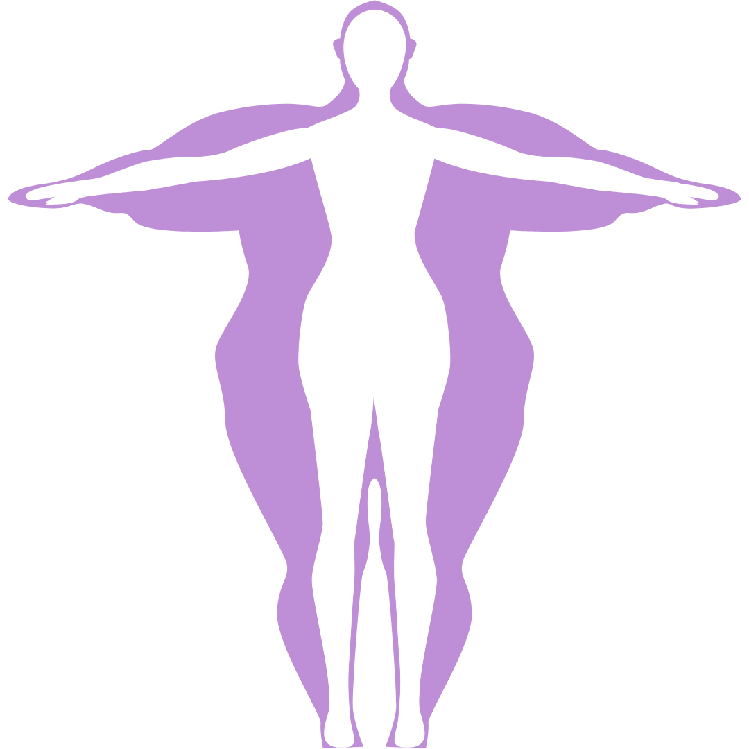 Body diagram