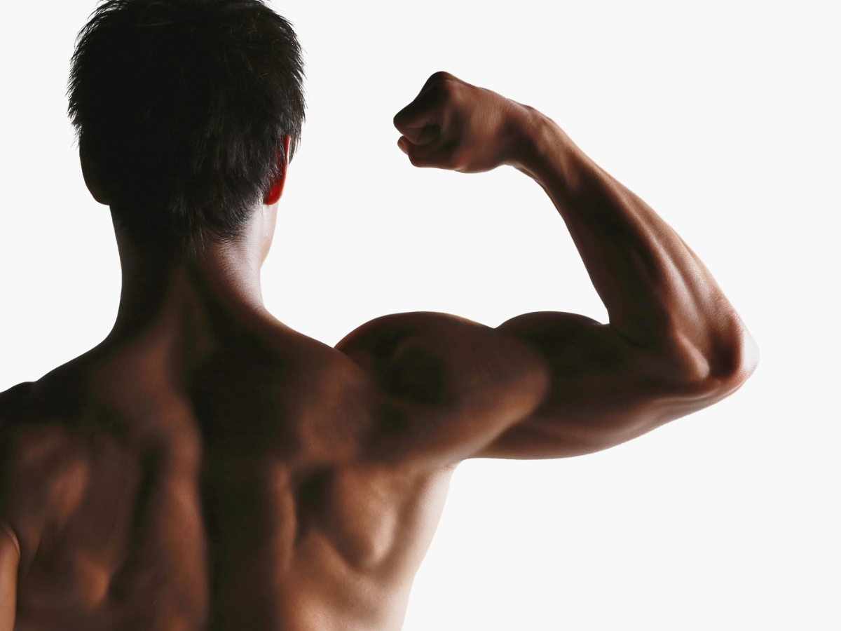 Body composition assessment