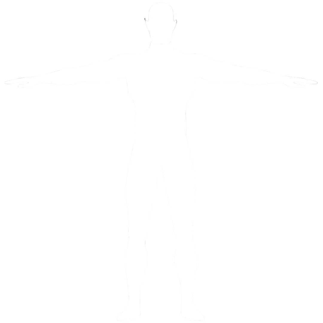 Body diagram