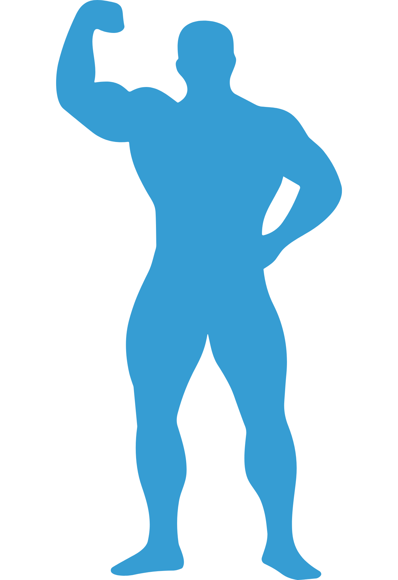 Performance silhouette